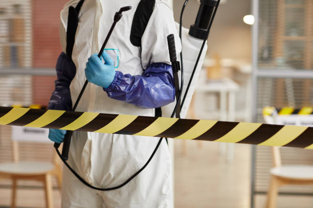 Professional Sewage Cleanup technician working in Ellenwood, GA